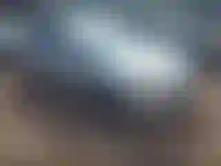 Vehicle Image- 2012 Ford Focus