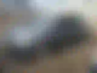 Vehicle Image- 2012 Ford Focus