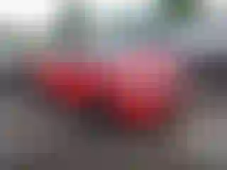 Vehicle Image- 2012 Ford Focus