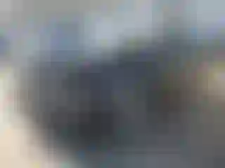 Vehicle Image- 2012 Ford Focus