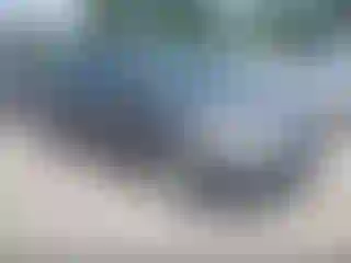 Vehicle Image- 2012 Ford Focus