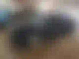 Vehicle Image- 2012 Ford Focus