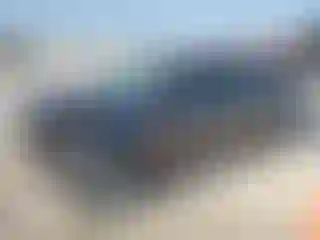 Vehicle Image- 2012 Ford Focus
