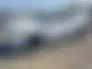 Vehicle Image- 2012 Ford Focus