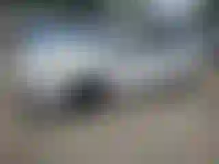 Vehicle Image- 2012 Ford Focus