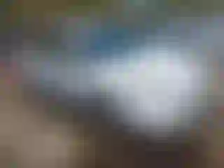 Vehicle Image- 2012 Ford Focus