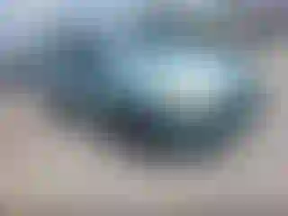 Vehicle Image- 2012 Ford Focus