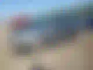 Vehicle Image- 2010 Ford Focus