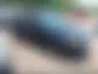 Vehicle Image- 2011 Ford Focus