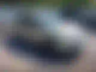 Vehicle Image- 2011 Ford Focus