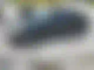 Vehicle Image- 2010 Ford Focus