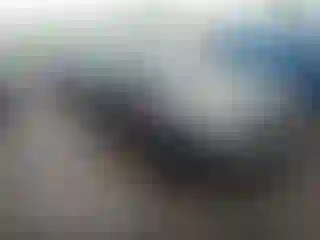 Vehicle Image- 2010 Ford Focus
