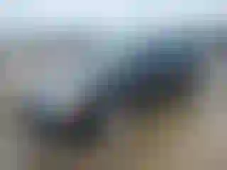 Vehicle Image- 2010 Ford Focus