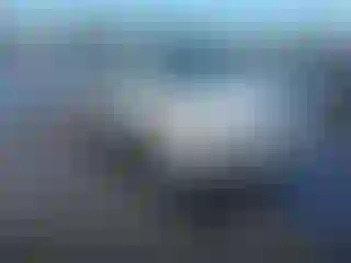 Vehicle Image- 2011 Ford Focus