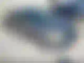 Vehicle Image- 2011 Ford Focus