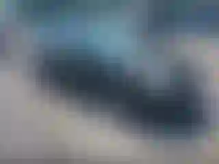 Vehicle Image- 2010 Ford Focus