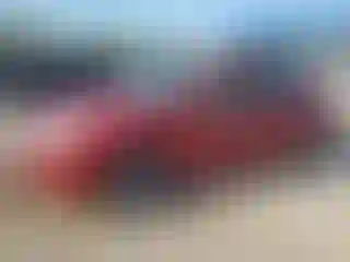 Vehicle Image- 2010 Ford Focus