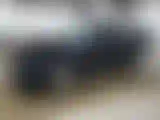 Vehicle Image- 2011 Ford Focus