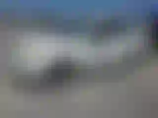 Vehicle Image- 2010 Ford Focus