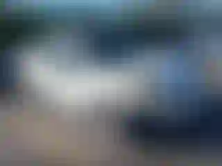 Vehicle Image- 2011 Ford Focus