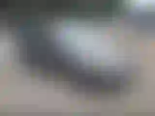 Vehicle Image- 2011 Ford Focus