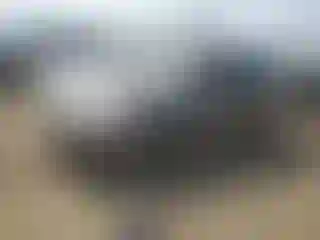 Vehicle Image- 2010 Ford Focus