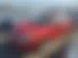 Vehicle Image- 2010 Ford Focus