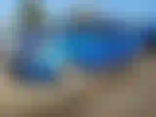 Vehicle Image- 2010 Ford Focus