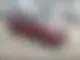 Vehicle Image- 2011 Ford Focus