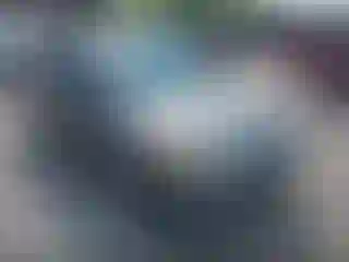 Vehicle Image- 2010 Ford Focus