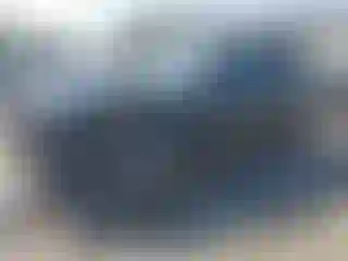 Vehicle Image- 2010 Ford Focus
