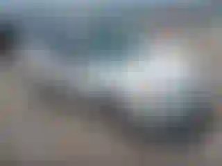 Vehicle Image- 2010 Ford Focus