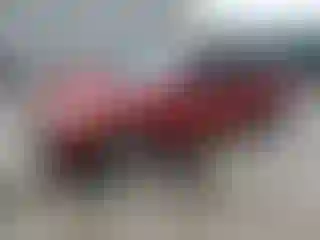 Vehicle Image- 2011 Ford Focus