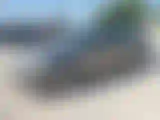Vehicle Image- 2010 Ford Focus
