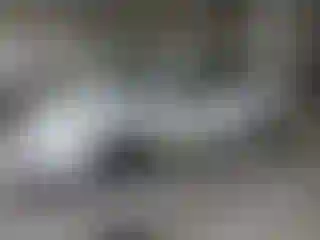 Vehicle Image- 2010 Ford Focus