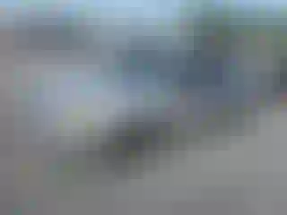 Vehicle Image- 2010 Ford Focus
