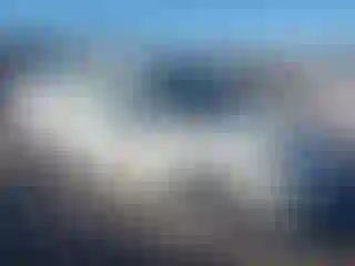 Vehicle Image- 2011 Ford Focus