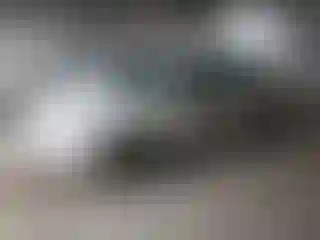 Vehicle Image- 2010 Ford Focus