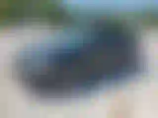 Vehicle Image- 2011 Ford Focus