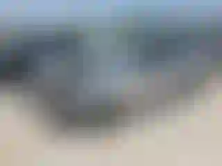 Vehicle Image- 2010 Ford Focus