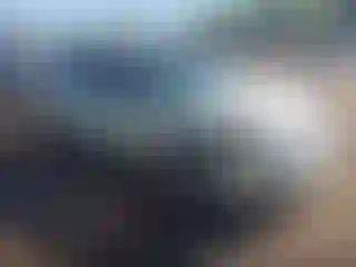 Vehicle Image- 2010 Ford Focus