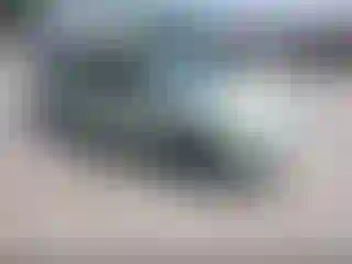 Vehicle Image- 2010 Ford Focus
