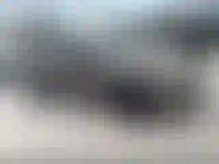 Vehicle Image- 2011 Ford Focus