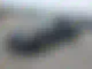 Vehicle Image- 2011 Ford Focus