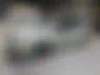 Vehicle Image- 2010 Ford Focus