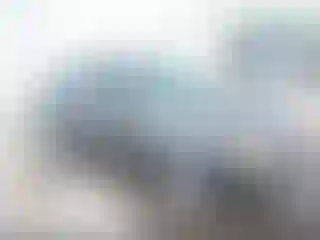 Vehicle Image- 2011 Ford Focus