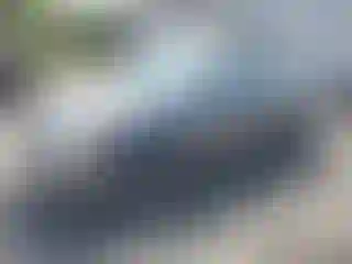 Vehicle Image- 2010 Ford Focus
