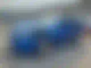 Vehicle Image- 2010 Ford Focus