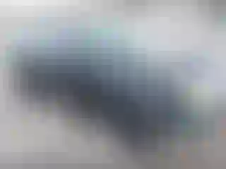 Vehicle Image- 2010 Ford Focus