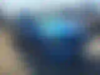 Vehicle Image- 2010 Ford Focus